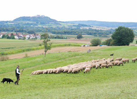 Schäferfest in Kirchhain-Stausebach
