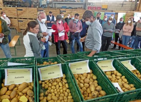 Wetterauer Kartoffeltag auf dem Laupushof