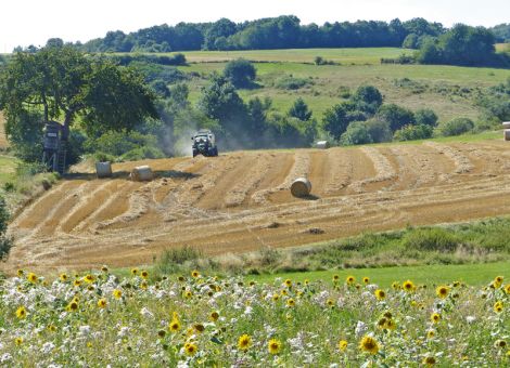 Zwei neue Broschüren zur Anpassung an den Klimawandel 