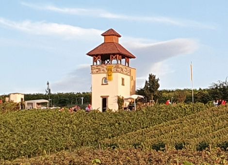 Pertelturm bei Saulheim ausgezeichnet