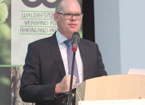 Klimaschutz ohne Waldschutz ist unmöglich