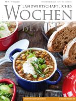 Ausgabe 41/2021 Ausgabe 41/2021