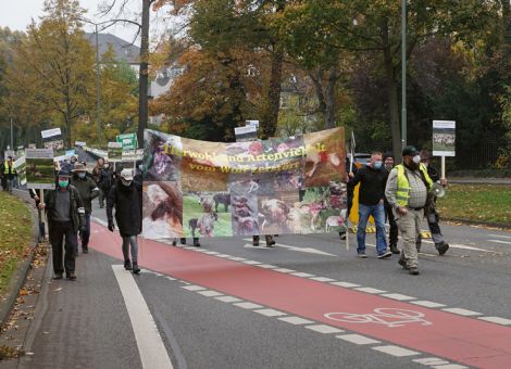 Dem Wolf klare Grenzen aufzeigen