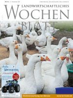 Ausgabe 45/2021 Ausgabe 45/2021