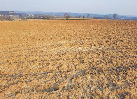 Fruchtbar, aber auch empfindlich