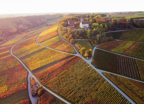 Agrarfoto des Jahres 2021: Farbtöne des Weinbaus