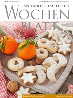 Ausgabe 47/2021 Ausgabe 47/2021