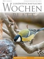 Ausgabe 48/2021 Ausgabe 48/2021