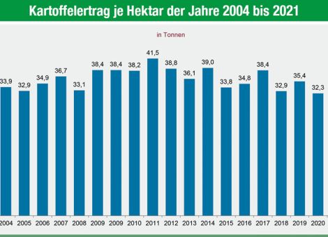 Höhere Kartoffelernte in Rheinland-Pfalz