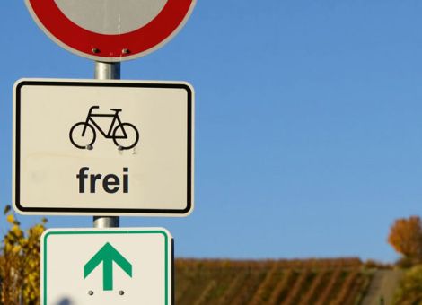 Pläne der Stadt Landau führen zu erheblichem Unmut