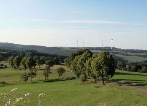 Wichtiges Signal für Betriebe in benachteiligten Gebieten 