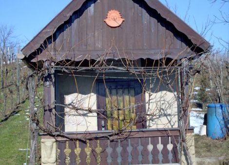 Weinbruderschaft Rheinhessen prämiert Weinbergshäuschen