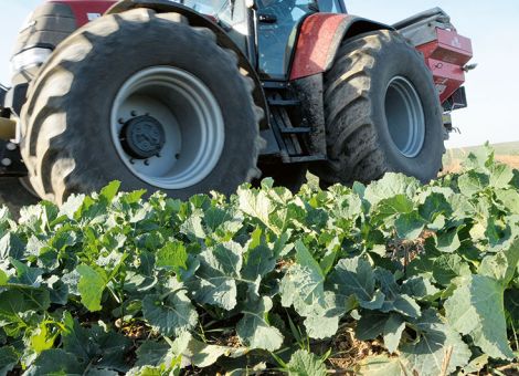 N-Verteilung an Standort und Pflanzenentwicklung anpassen