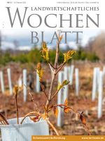 Ausgabe 6/2022 Ausgabe 6/2022