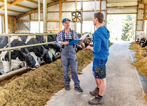 Erfolgreiche Milchproduktion ohne große Investitionen