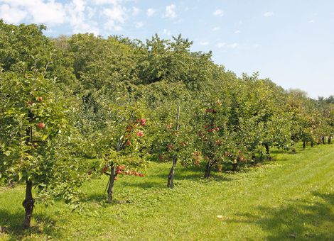 „Ein heißes Eisen, das geschmiedet werden muss“