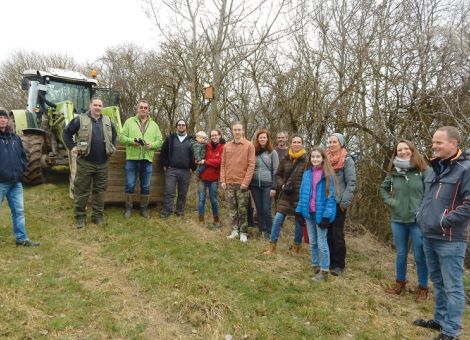 EFA-Projekt – Reinigung von Vogelnisthilfen