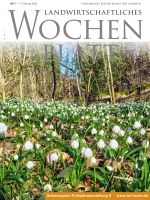 Ausgabe 7/2022 Ausgabe 7/2022