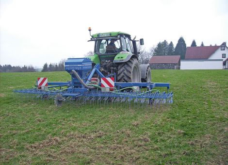 Sattes Grün auf den Flächen