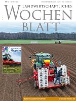 Ausgabe 12/2022