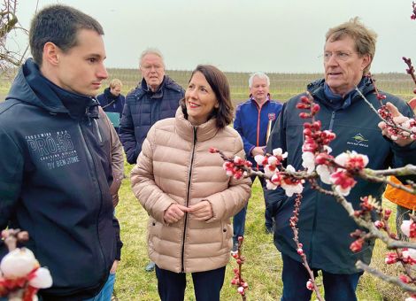 Obstbau als Hotspot der Artenvielfalt erhalten 