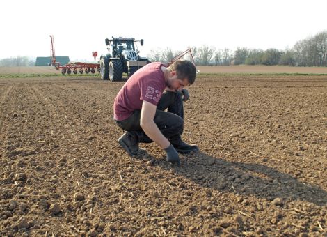 Rübenjahr 2022 gestartet