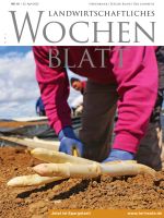 Ausgabe 16/2022 Ausgabe 16/2022