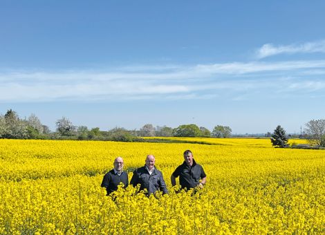 Rapsanbau in Hessen hat erfreulicherweise zugelegt