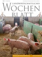 Ausgabe 17/2022 Ausgabe 17/2022