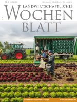 Ausgabe 19/2022 Ausgabe 19/2022
