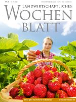 Ausgabe 20/2022 (Pf. Bauer/Der Landbote) Ausgabe 20/2022 (Pf. Bauer/Der Landbote)