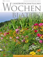 Ausgabe 21/2022 Ausgabe 21/2022