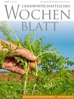 Ausgabe 22/2022 (Pf. Bauer/Der Landbote) Ausgabe 22/2022 (Pf. Bauer/Der Landbote)