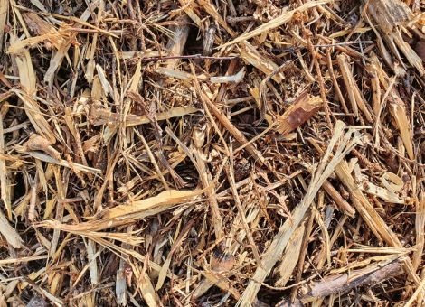 Kompostieren im landwirtschaftlichen Betrieb 