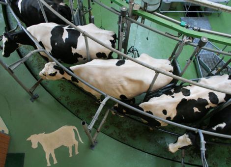Anlieferung hat saisonalen Höchststand überschritten