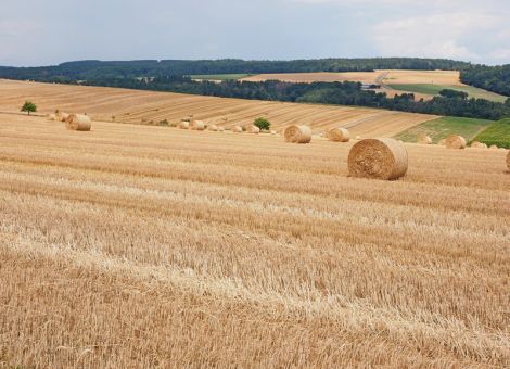 Stroh verkaufen, tauschen, oder behalten?
