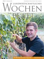 Ausgabe 36/2022 Ausgabe 36/2022