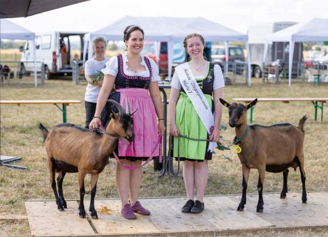 Hessens beste Zuchtziegen präsentiert