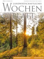 Ausgabe 38/2022 Ausgabe 38/2022