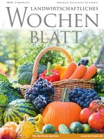 Ausgabe 39/2022 Ausgabe 39/2022
