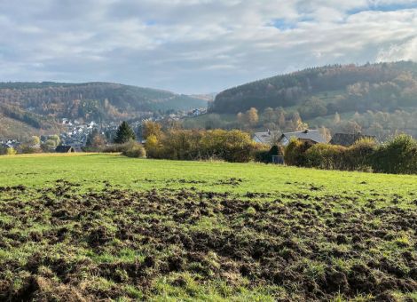 Regulierung von Schäden an landwirtschaftlichen Kulturen 