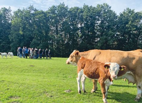 Verein Rhöner Biosphärenrind: über Herdenschutz informiert