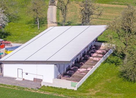 Tierwohl-Milliarde auch zur Kompensation laufender Kosten
