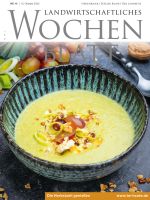Ausgabe 41/2022, © BVEO/Ariane Bille Ausgabe 41/2022