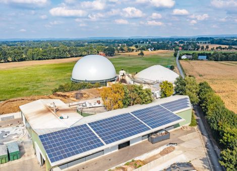 Kaum noch Investitionen in die Tierhaltung