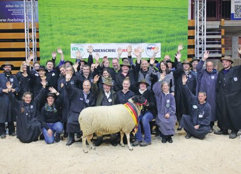 Nach 25 Jahren wieder in Alsfeld: Bundesschafschau