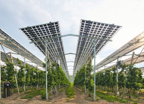 Agri-Photovoltaik – Potenzial für die Energiewende?