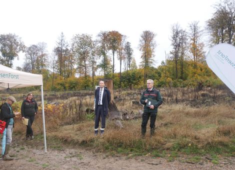 Den Wald der Zukunft entwickeln