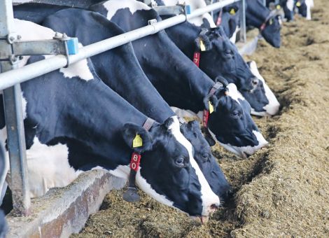 EU-Umweltminister befürworten Industrieemissionsrichtlinie