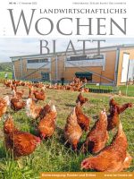 Ausgabe 46/2022 Ausgabe 46/2022